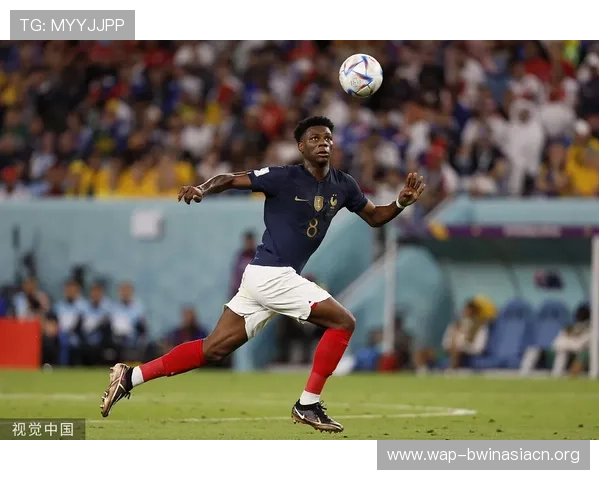 芒果体育奇异果体育平台的优势与特色让你轻松掌握全球体育动态